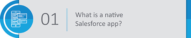 What is a native Salesforce app?